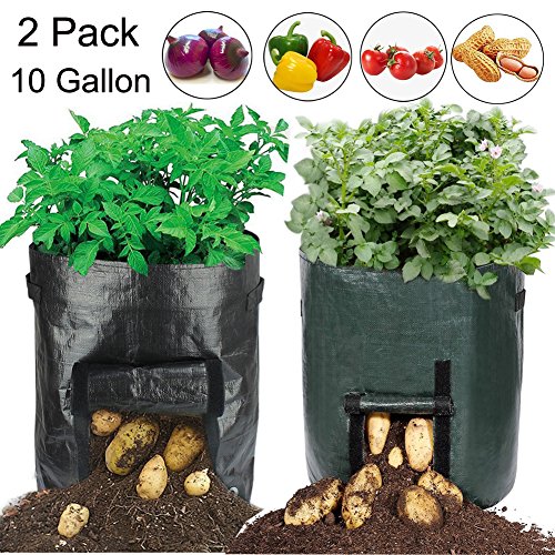 Shelling Home 19.7 Inch Garden Planter Bag,10 Gallon Vegetables Grow Bags with Access Flap and Handles for Harvesting Potato,Carrot & Onion