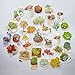 DadaCrafts(TM) Succulents 29pcs 3cm - 4cm Large Bag Packaged Stickers Sets