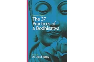 The 37 Practices of a Bodhisattva: Tokme Zangpo's classic 14th Century guide for travellers on the path to enlightenment (The Dharma Chronicles: Walking the Buddhist Path)