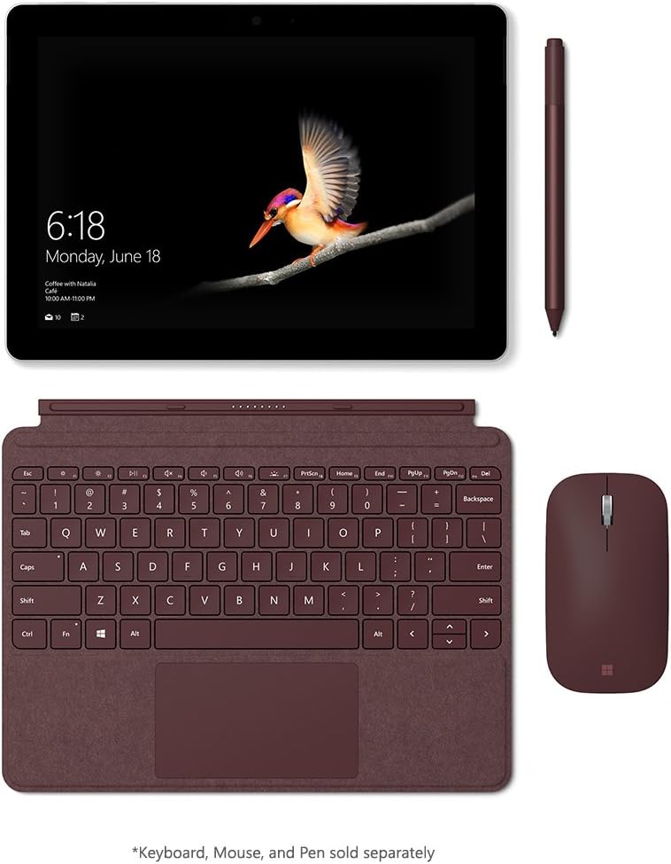 Microsoft Surface Go (Intel Pentium Gold, 8GB RAM, 128GB) (MCZ-00001) : Computers & Accessories