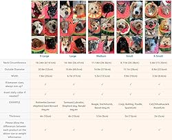 Dog Cone Collar for Small Medium Large Dogs for