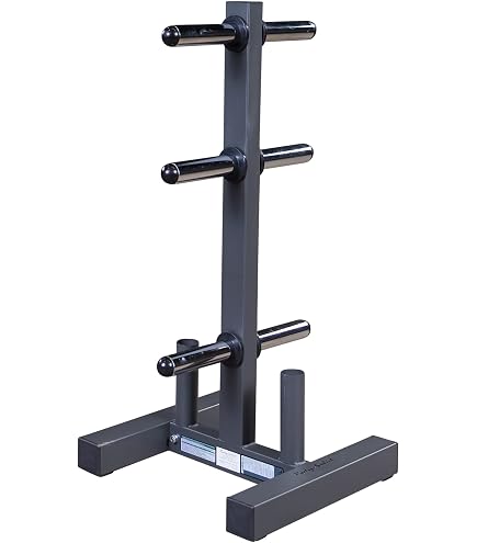 Amazon.com : Body-Solid (GWT56) Heavy-Gauge Vertical Weight Tree