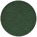 Festool 496508 Green Vlies Polishing Abrasive for 150mm Sanders, 10-Pack primary