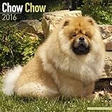 Chow Chow Calendar - Only Dog Breed Chow Chow Calendar - 2016 Wall calendars - Dog Calendars - Monthly Wall Calendar by Avonside