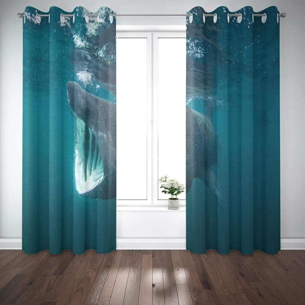 Shorping 52X84 Inch 3D Window Curtains, Privacy Window Curtain Shark Island Scotland Cetorhinus Maximus Coll Window Blackout Curtains for Bedroom,2 Pc