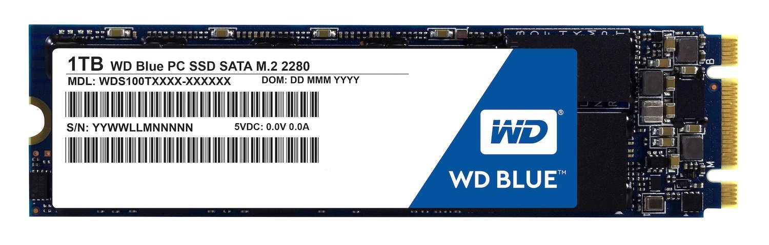 Blue M.2 1TB Internal SSD Solid State Drive - SATA 6Gb/s 2.5 Inch - WDS100T1B0B