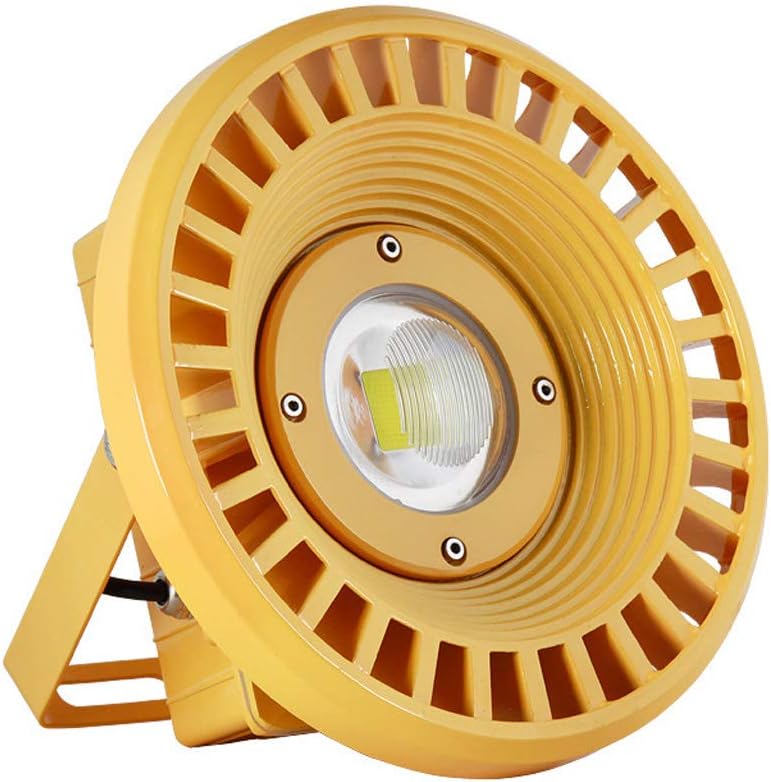 LED Explosion-Proof Lamp Flood Light Warehouse Lighting 30W50W80W100W Mine Workshop Three Anti-Flooding Lights (Size : 100W)