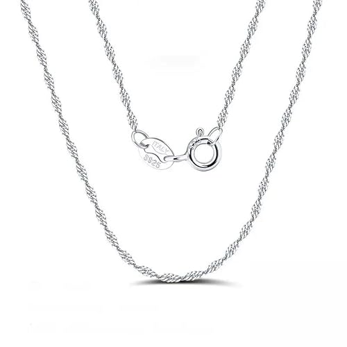 Tivleed Elegant Silver-Tone Snake Chain Necklace for Women | Hypoallergenic Alloy with Electroplated Finish | Versatile Jewelry for Daily Wear & Special Occasions (18"-24" Adjustable)
