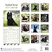 Scottish Terrier Calendar 2017 - Dog Breed Calendars - 2016 - 2017 wall calendars - 16 Month by Avonside