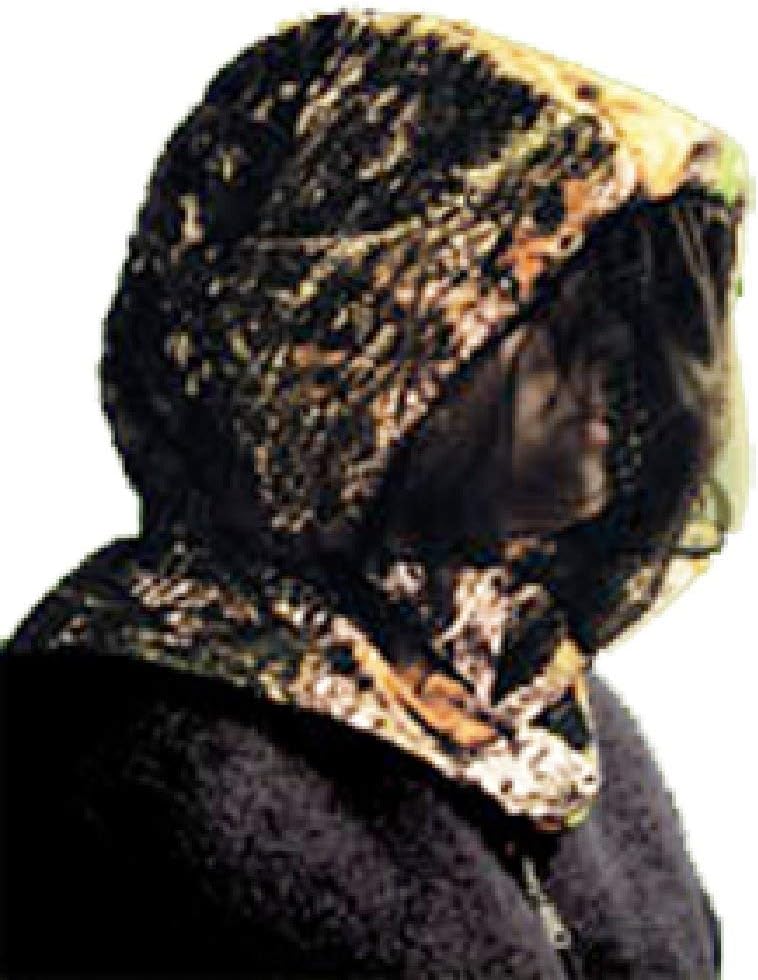 Shannon Outdoors Men's 3-D Big Leaf Bug Tamer Plus Headnet with Face Shield