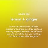 Method Floor Cleaner Multi-Surface Lemon Ginger 739 ml view 3