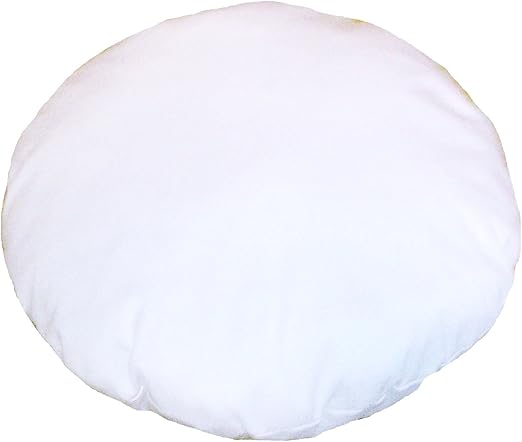 Amazon Com Saini Arts And Craft Floor Pillow Insert Floor Cushion