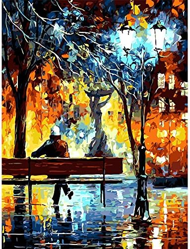 Fengtuo DIY Oil Painting Paint by Number Kit Canvas Painting Hand Colouring Decorative Picture-Bench of Night Scene 16"X 20" - Frameless