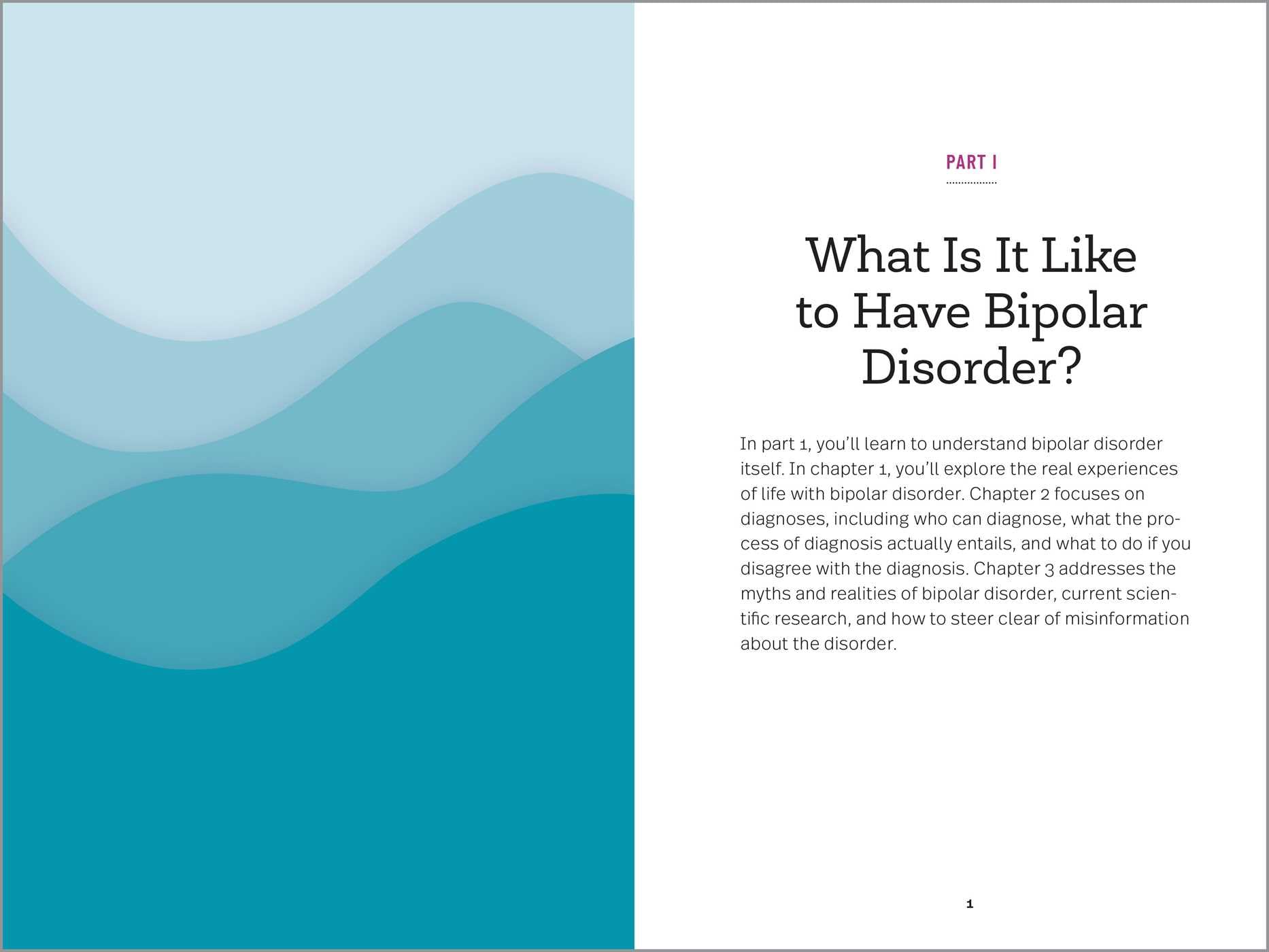 Mua Understanding Bipolar Disorder: The Essential Family Guide ...