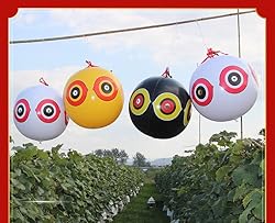 keesoon -Bird repelling Balloon，Woodpecker