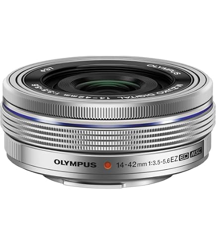 Amazon.com : OM SYSTEM Olympus 25mm f1.8 Interchangeable Lens