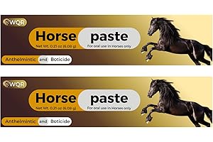 Horse Paste – Oral Syringes – 6.08g Tubes – Adjustable Weight Markings – For Horses Up to 1,250 lbs (Pack of 2)