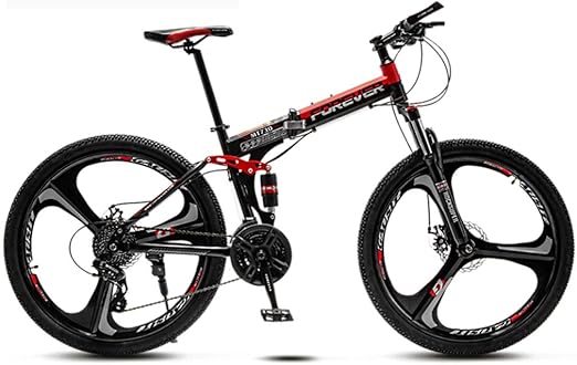 disc brake and gear cycle
