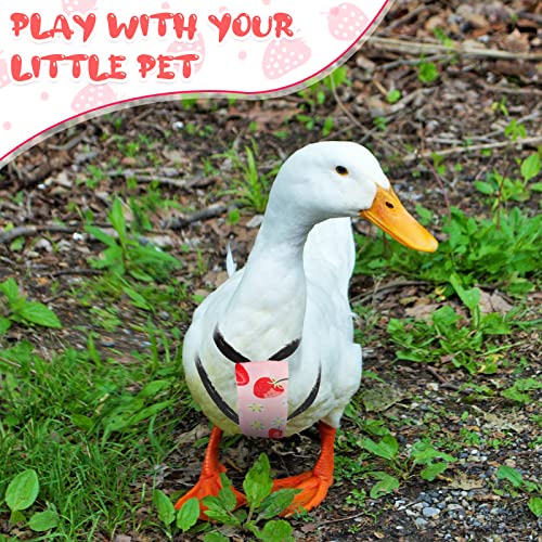 Set of 2 Pieces Pet Chicken Diapers Duck Diapers with Duck Outside