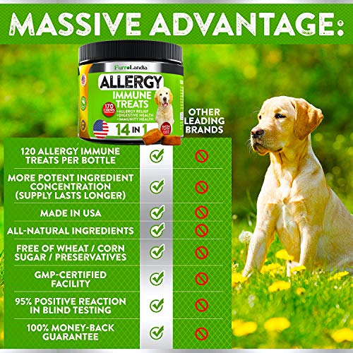 FurroLandia Dog Allergy Relief Chews Omega 3 Salmon Fish Oil