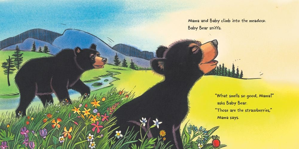 baby bear sees blue