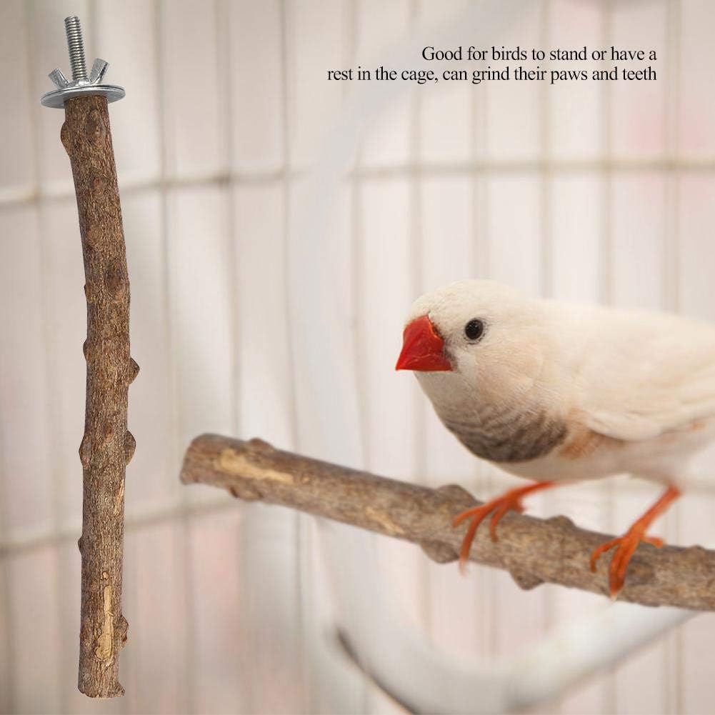 Parrot Standing Perch Toys, Pet Birds Paws Grinding Perch Bird Chewing Hanging Cage Toy Parrots Natural Wood Stand Holder for Cockatiel Cockatiels Parakeets Small Medium Bird(1.5~2.5 * 25CM) - Image 3