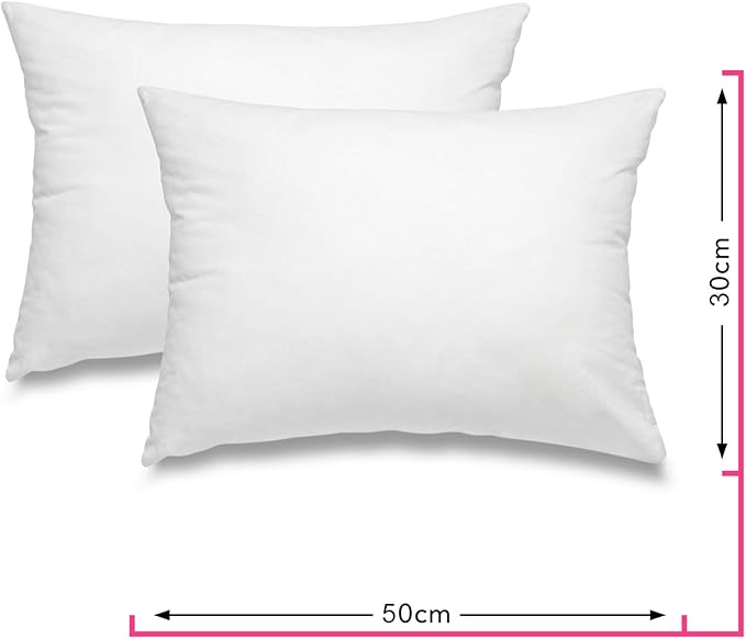 wometo - Juego de 2 cojines de plumas 100% plumas, certificado ...