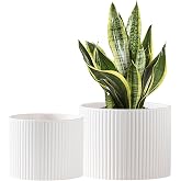 Swkien Ceramic Plant Pots, 8.1 + 6 Inch Planters for Indoor Plants, Modern Flower Pots for Plants with Drainage, Medium Cylinder Flower Pots for Indoor Plants, House Plants, Matte White