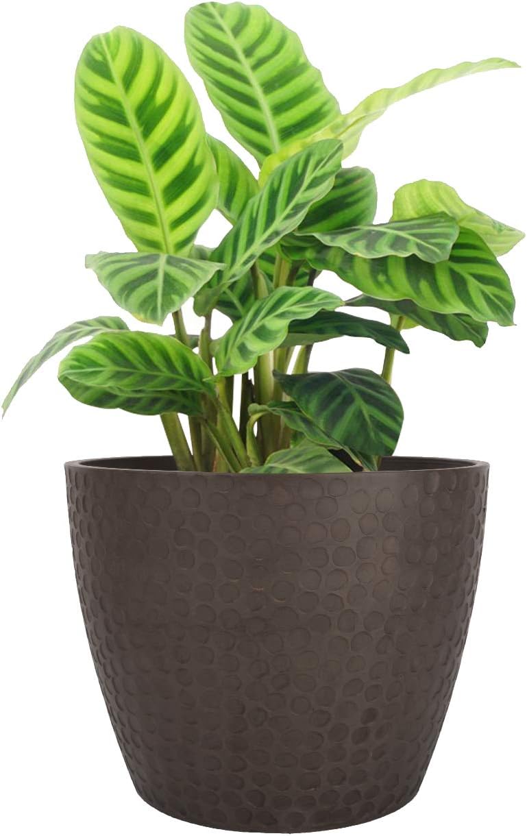 LA JOLIE MUSE 9.4 inch Plant Pot for Indoor and Outdoor Plants, Modern Chic Planter with Honeycomb Pattern, Brown : Garden & Outdoor