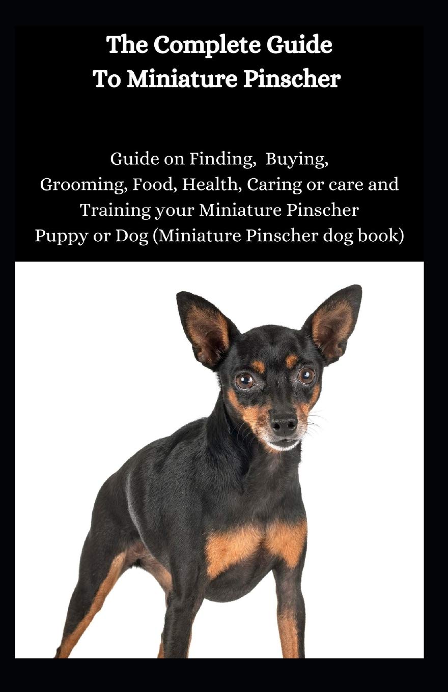 The Complete Guide To Miniature Pinscher Guide On Finding Buying Grooming Food Health Caring Or Care And Training Your Miniature Pinscher Puppy Or Dog Miniature Pinscher Dog Book Jason Lee 9798565382532 Amazon Com
