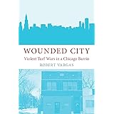 Wounded City: Violent Turf Wars in a Chicago Barrio