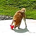 KONG Pawzzles Cube Dog Toy, Large