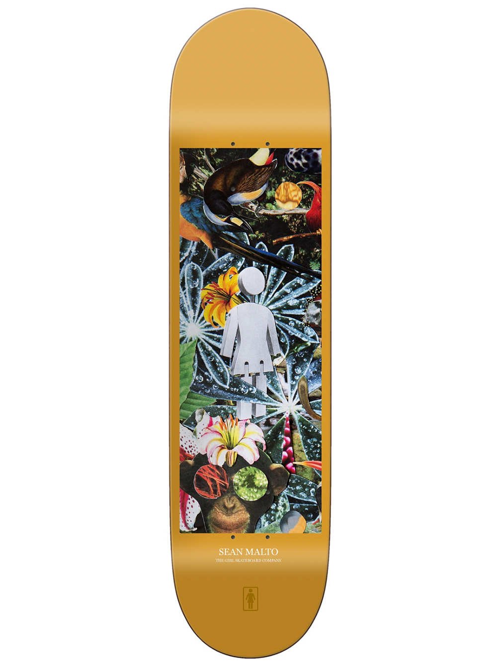 Girl Skateboard Deck Jungle Series Sean Malto 8.125" Skate Deck Amazon