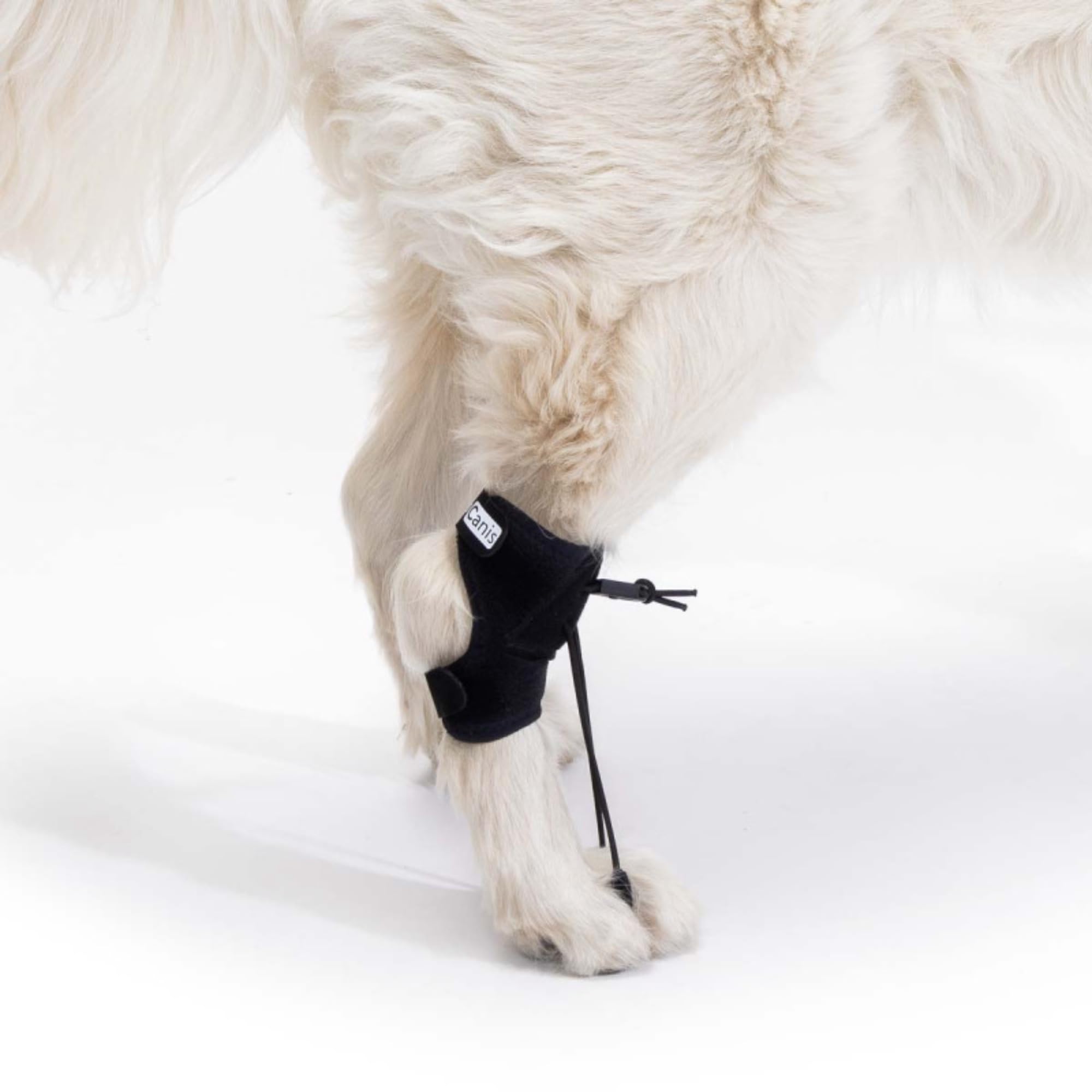 Ortocanis - Proprioceptive Support for Dog - Helps with Knuckling, Myelopathies & Spinal Conditions - Corrects Foot Posture & Prevents Injuries - Expertly Made in Barcelona - Size: S 9-11,5 cm