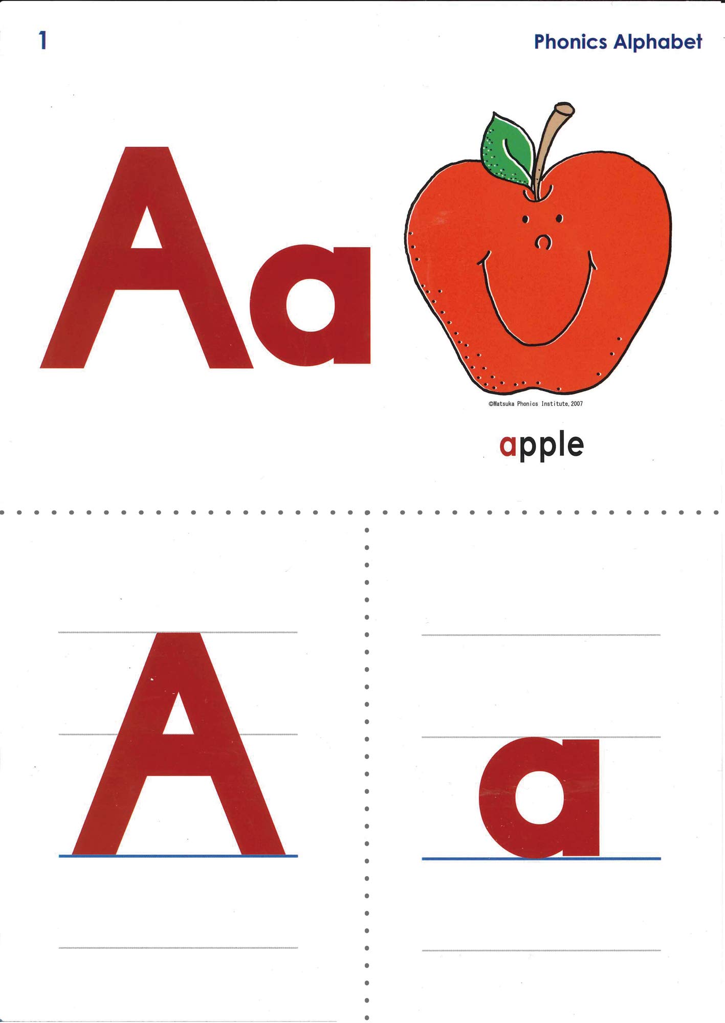 132枚入 教師用大判a4フォニックスカード 絵カード 小学生中学生英語授業フォニックスオンラインレッスンにおすすめ 英語発音のコツと発音記号入り 小文字カード 大文字カード フォニックスルールカード入り