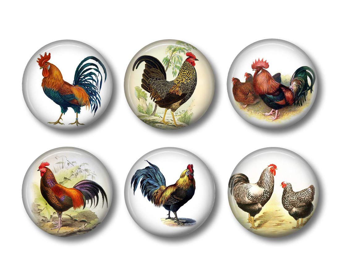 Rooster and Chicken 6 Piece Set 1.5 Inch Round