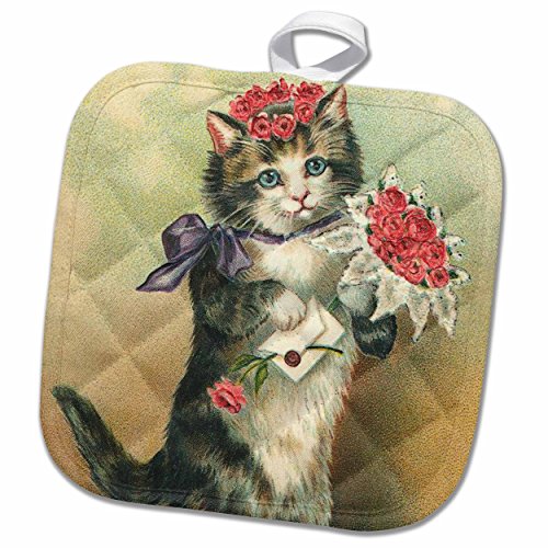 Protect Plants From Cats With A Bag Holder IUCN Water