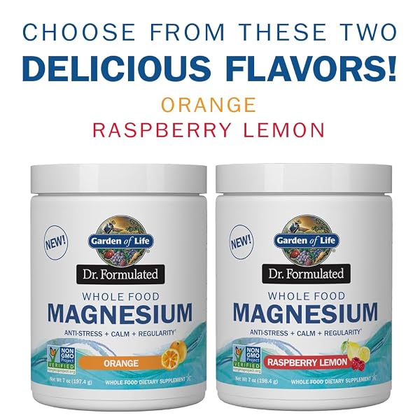 GARDEN OF LIFE DR. FORMULATED WHOLE FOOD MAGNESIUM COMPLEX POWDER WITH PROBIOTICS – STRESS & SLEEP SUPPORT, NON-GMO, GLUTEN-FREE, VEGAN, RASPBERRY LEMON FLAVOR, 40 SERVINGS