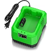 1 Port 80V Charger Compatible with Greenworks Pro 80V Battery, Replacement for Greenworks 80V Battery Charger-Single Port Fast Charging &amp; Safe Power Supply