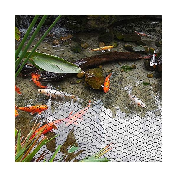 Anytime-Garden-4M-x-3M-POND-NET-COVER-Easy-Setup-Pool-and-Fishpond-Nylon-Netting-Protects-Fish-Ponds-and-Koi-from-Birds-and-Leaves-Durable-See-Through-Safety-Covers-Made-in-Europe Anytime Garden 4M x 3M POND NET COVER - Easy Setup Pool and Fishpond Nylon Netting Protects Fish, Ponds and Koi from…