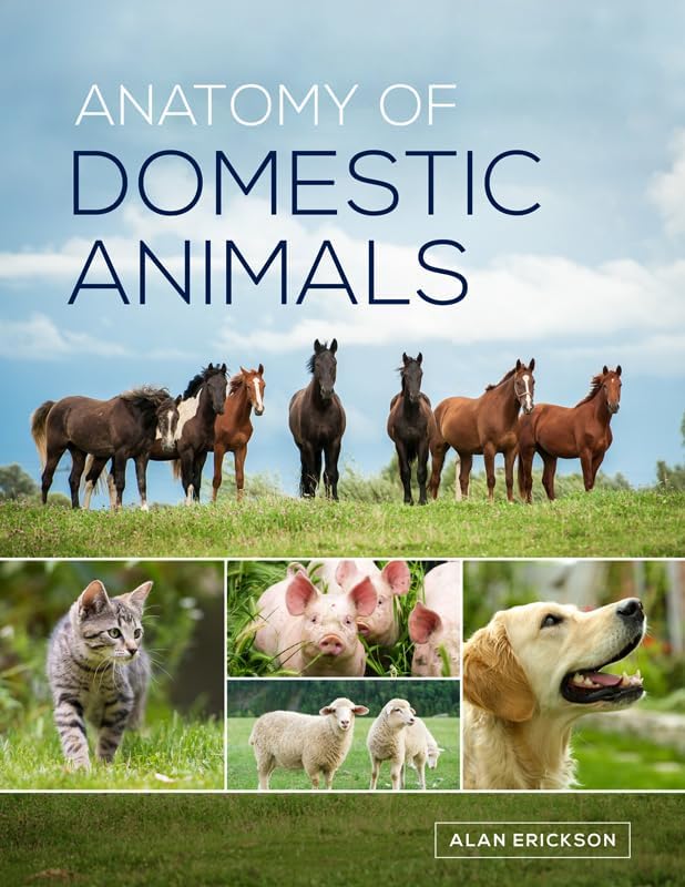 Anatomy of Domestic Animals: Systemic & Regional Approach