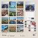 Turner Photo 2017 Italy Photo Wall Calendar, 12 x 24 inches Opened (17998940032)