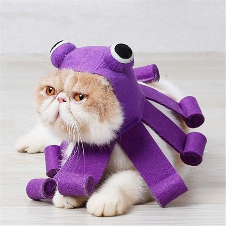 amazon cat dress
