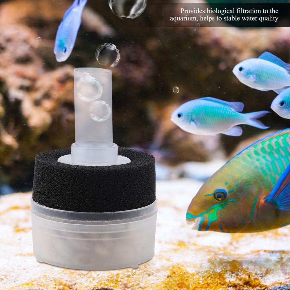 Biological Sponge Filter for Aquarium Fish Tank, Air Driven Corner Filter with Sponge Media - Image 4