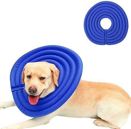 Sailout Collerette De Protection Chien Chat Confortable