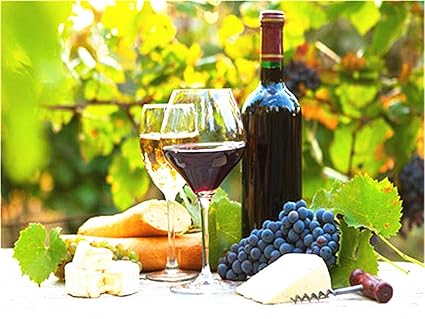 Amazon Com Diy Oil Paint By Number Kit For Adults Beginner