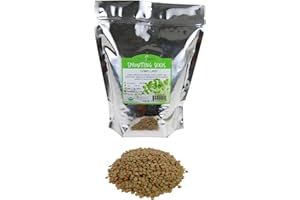HANDY PANTRY Organic Dried Green Lentil Sprouting Seed: 2.5 Lb - Dry Lentils for Planting Garden Seeds, Soup, Cooking or Sprout Salad, Sprouts