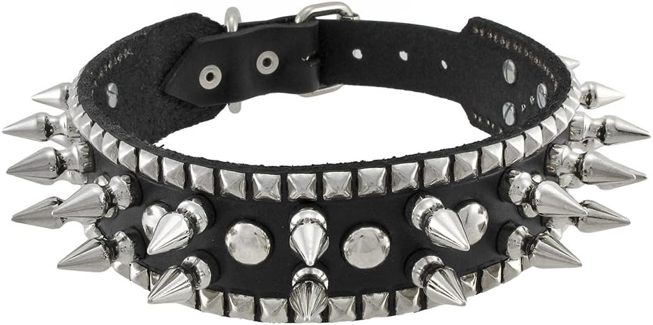 petsmart spiked collar