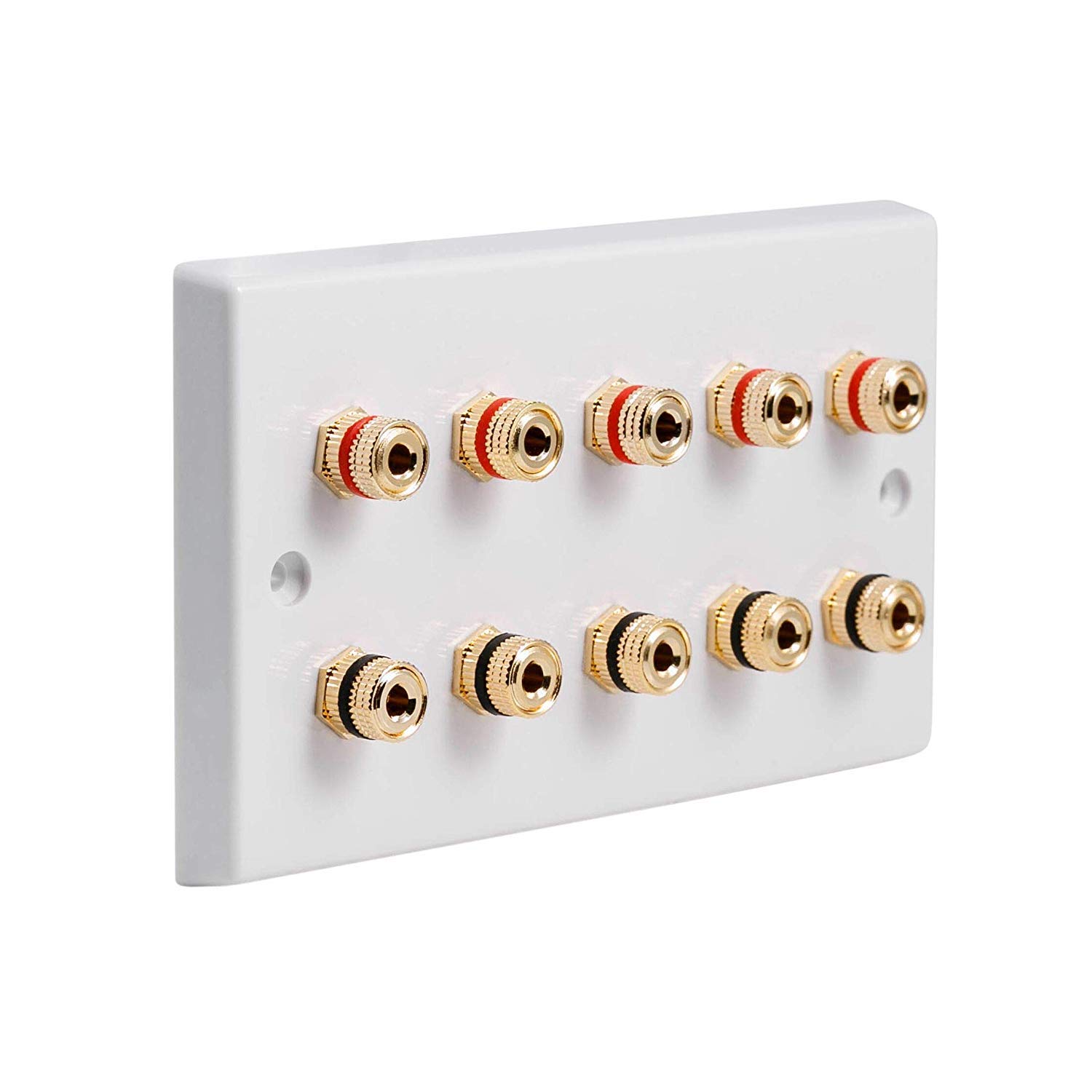5.0 Surround Sound Speaker Wall Plate with Gold Binding Amazon.co.uk