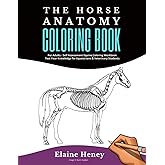 Horse Anatomy Coloring Book For Adults - Self Assessment Equine Coloring Workbook: Test Your Knowledge - For Equestrians & Veterinary Students